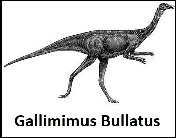 A sketch of what a Gallimimus might have looked like.