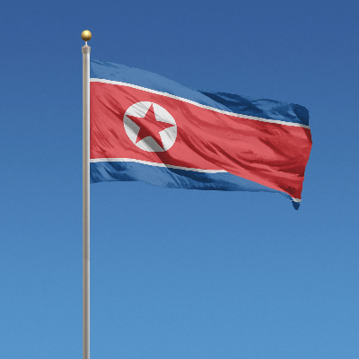 A Picture of the Flag of North Korea