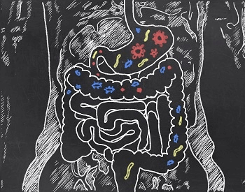 A diagram on a chalkboard showing how food goes through the digestive system