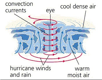 A Diagram of a Hurricane
