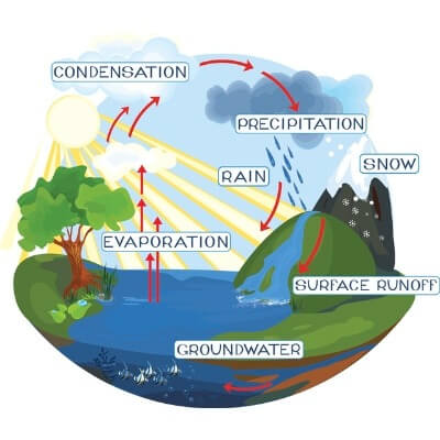 Diagram of the Hydrosphere