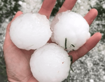 A photo of someone holding 3 massive hailstones