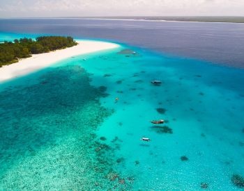 A picture of the Mnemba Atoll in the Indian Ocean