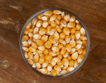A picture of popcorn kernels