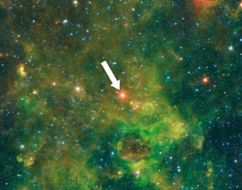 A picture of the protostar IRAS 19312+1950