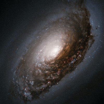 A Picture of the Black Eye Galaxy