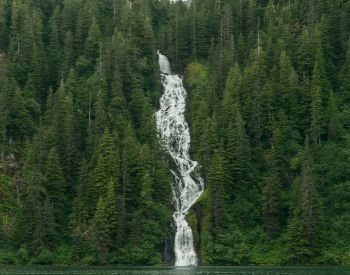 A picture of the Tongass National Forest in North America