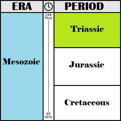 The Triassic Period Timeline