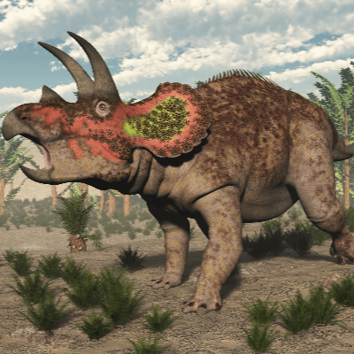 A Picture of Triceratops