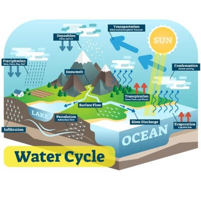 A diagram of the Water Cycle