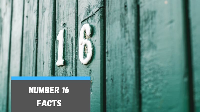 Facts about Number 16