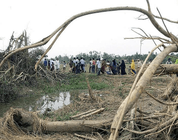 Picture 2 of 6 - Damage from the Daulapur-Saturia Tornado.