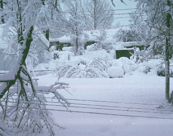  1993 Blizzard - Storm of the Century
