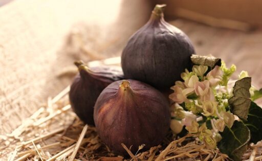 30 Facts about Figs