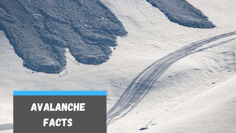 Avalanche Facts For Kids