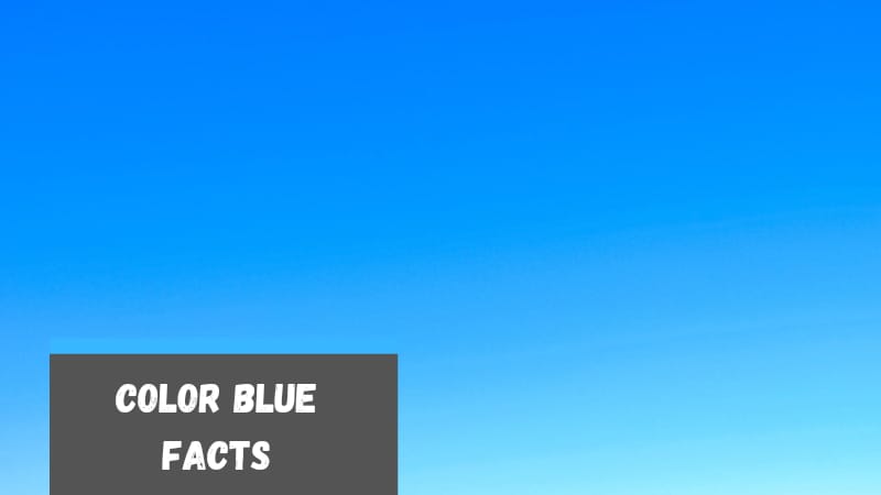 Facts about the Color Blue For Kids