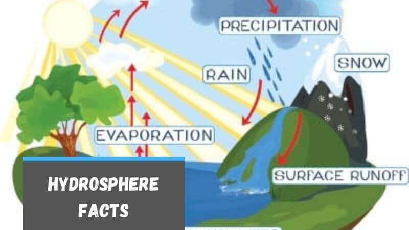 Hydrosphere facts 