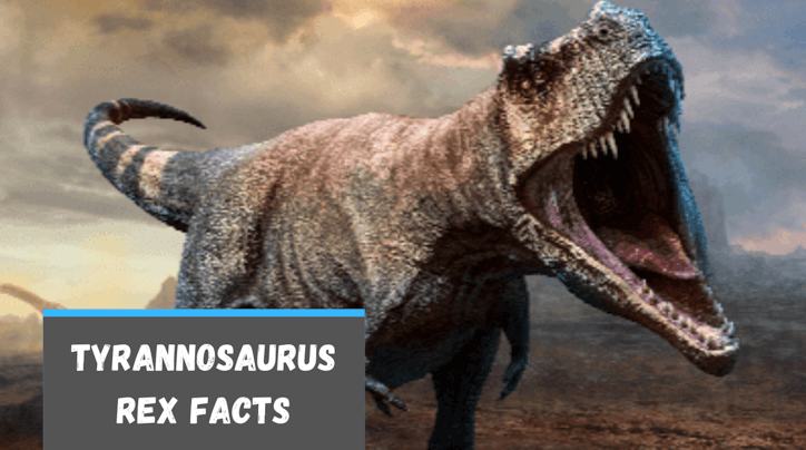 Tyrannosaurus Rex Facts