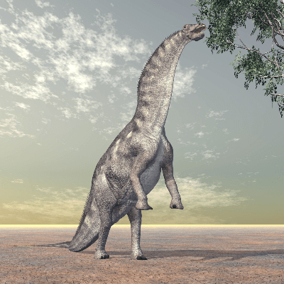 A Picture of a Amargasaurus