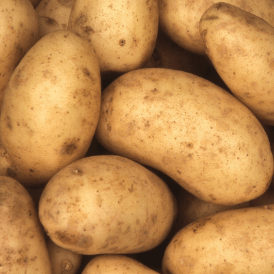 A Picture of Potatoes
