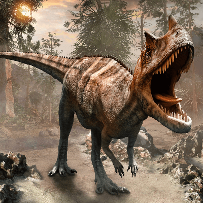 A Picture of a Ceratosaurus