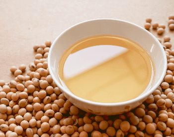 A close-up picture of soybeans and oil
