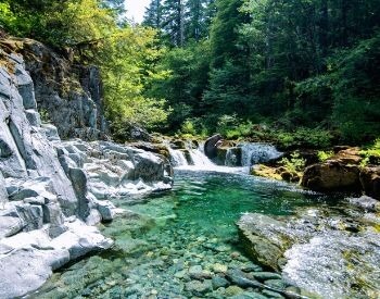 A picture of a creek that contains freshwater