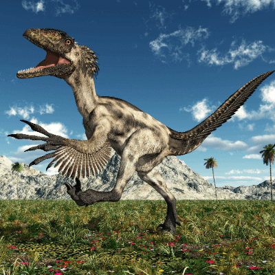 A Picture of a Deinonychus