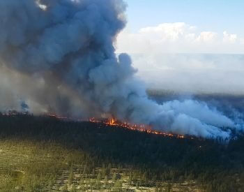 A picture of a big forest fire buring out of control