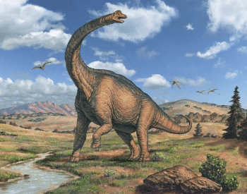 A graphical representation of Brachiosaurus altithorax