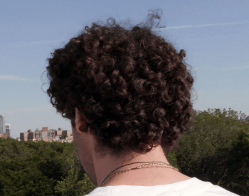 A picture of hair on the human head