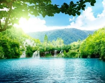 A picture of a lake in a tropical forest