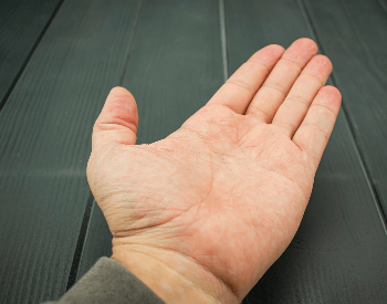 A picture of a human left hand