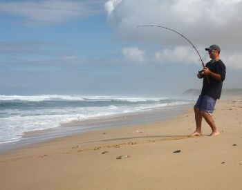 A picture of a man catching a fish while surf fishing