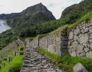 A picture of a stone path and buildings at Machu Picchu