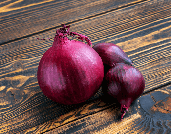 A picture of a purple onion