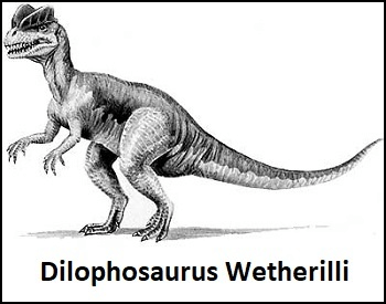 A sketch of what a Dilophosaurus might have looked like.