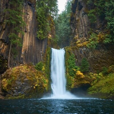 A Waterfall in a Tropical Forest