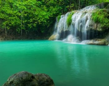 A picture of a forest waterfall