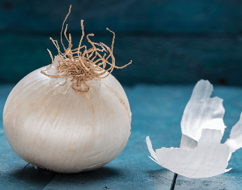 A picture of a white onion