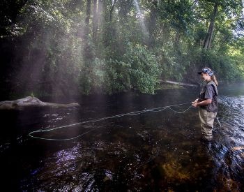 A picture of a woman fly fishing in a river
