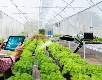A picture of an automated greenhouse