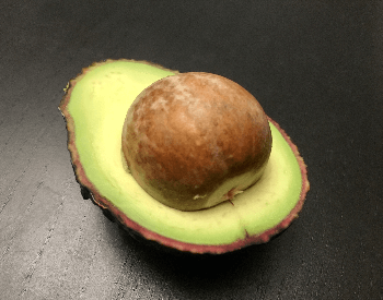 A close-up picture of an avocado pit