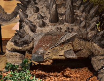 The ankylosaurus exhibit at Glendive Dinosaur and Fossil Museum