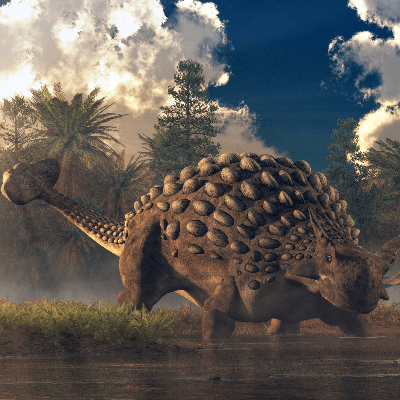 A Picture of Ankylosaurus Magniventris