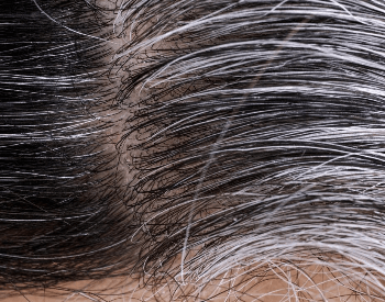 A close-up picture of human hair that's black and gray