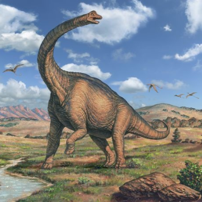 A Picture of Brachiosaurus altithorax