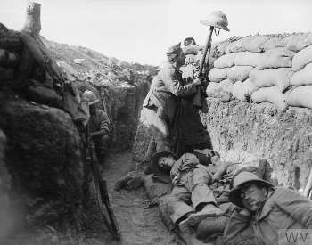 A picture of British troops in a trench during the Battle of Gallipoli
