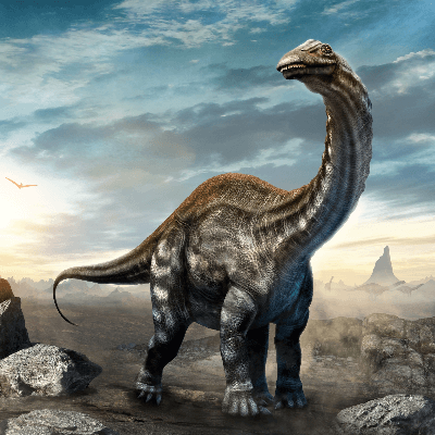 A Picture of Brontosaurus Excelsus