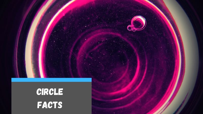 24 Facts about Circles